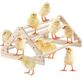 Wooden Chick Perch Stand, Pine Chicks Roosting Bar, Jungle Gym Perch Toys for Chicken Coop & Brooder, Bird Perch for Baby Chicks & Parrots (Large) - color: Large