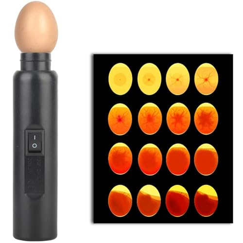 High Intensity Egg Candler Tester, Rechargeable LED Egg Hatching Test Light with Egg Chuck, ABS Egg Tester for Monitoring Development of Ducks Eggs, 5.9x1.4x1.4in