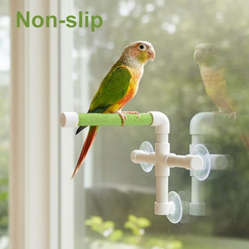 Hypeety Portable Suction Cup Bird Window and Shower Perch Toy Parrot Stand | 3 strong suction cups, parrot bath perch with quartz sand surface, fits windows/tile, for parakeets/budgies/cockatiels, green