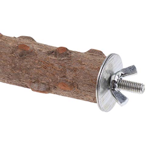 Hypeety Natural Prickly Ash Wood Bird Perch Stand Paw Grinding Perch Toy | Natural prickly ash wood, bark texture for grip, chew-proof and durable, for budgie/parakeet/cockatiel/lovebird, 7.86''/20cm - size: 7.86 inch