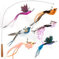 miwoowim 35" Steel Wire Cat Wand Toy & 6PCS Realistic Feather Bird Refills | Sturdy wooden handle for easy grip.Handcrafted birds with bells.Promotes active play, healthy exercise & bonding - color: 7 PCS Cat Wand Toy Birds
