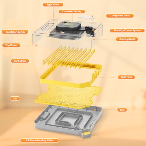 IBKINXX Incubator for Hatching Eggs-48 Egg Capacity, 2026 Newly Upraded Auto Egg Turner & Auto Precision Humidity Control System, 360° Clear Viewing for Chicken, Duck and Quail Eggs (Yellow) | Automatic Temp & Humidity Control, Auto Egg Turning & Built-in