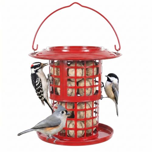 KOL Metal Suet Ball Feeder for Birds – Single-Layer Expandable Design Suet Bird Feeder, Heavy-Duty Wild Bird Feeder with Secure Lid, Large Capacity for Backyard (Red) - color: Red