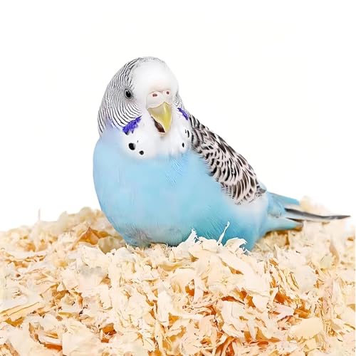 MANON ROSA Wood Shavings for Bird Bedding - Natural Aspen Soft Low-Dust & Odor-Control Nesting Material for Parakeets Parrots Rabbits Cockatiel for Cages, Nest Boxes, Small Pet Litter - size: M(1.1lbs)