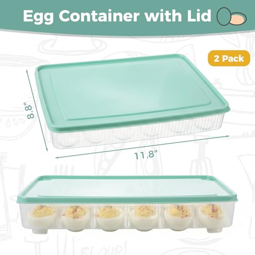 HAKSEN Deviled Egg Containers with Lid, (Set of 2), Deviled Egg Holder Tray Carrier for Refrigerator with 48 Holes, Fridge Stackable Kitchen Portable Countertop Storage