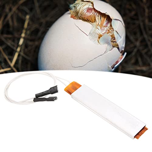 PTC Heating Plate Aluminum, Poultry and Livestock Incubators and Accessories Shell Small Automatic Ceramic Electric Incubator Heating Elements, Incubators and Accessories (12V
