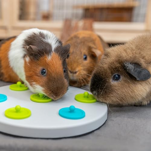 Trixie Rabbit Snack Board, Interactive Toy, Small Animal Puzzle, Mental Stimulation, Rabbit, Ferret, Bunny, Chinchilla