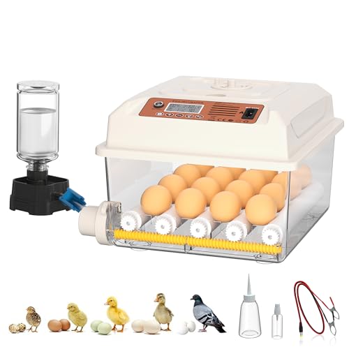 16 Eggs Incubators, Chicken Incubator with Automatic Egg Turning | Incubators for Hatching Chicken Eggs, Quail Incubator with 4 Auto Incubate Mode, with Humidity Display Auto Water Filling - color: White, size: 16 Egg