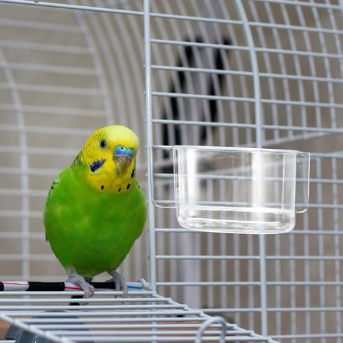 LemonRoad 4 Pcs Clear Bird Cage Feeder Bird Food Water Bowls Dish for Cage Feeding Drinking Seed Container Feeder Cup Plastic Birdcage Tray Replacement Thick Food Trough Box Supply for Parrot Pigeon