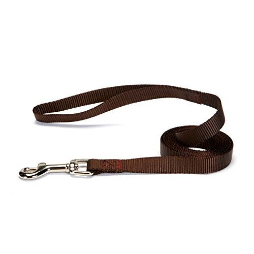 Zack & Zoey Nylon Dog Lead, 6-Feet, Chocolate | Durable everyday leash - color: Chocolate, size: 6-Feet x 1-Inch Lead
