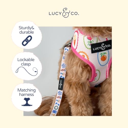 Lucy & Co. Dolce Vita Dog Leash, Durable Matching Dog Lead with Heavy Duty Hardware, Small - color: Dolce Vita, size: Small