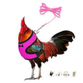Chicken Leash, Duck Harness and Leash Set Adjustment Mesh,Pink S | breathable mesh harness,adjustable straps,sturdy leash,fit chicken,duck,goose,rooster,parrot,kitten,tiny dog training walking - color: Pink, size: S (Chest 12.6-17.7")