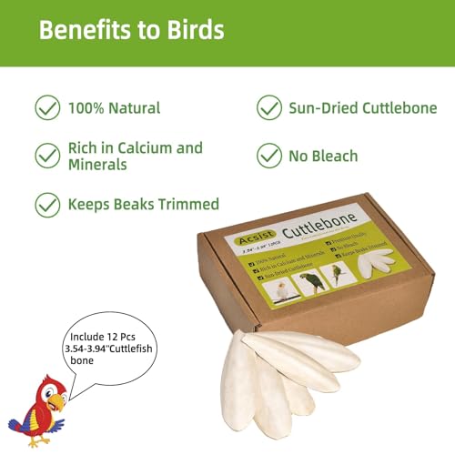 3.5"-4" Cuttlebone for Birds,Parakeets Cuddle Bone Beak Trimming,Premium Calcium Natural Cuttlefish Bone for Parrot,Cockatiel,Budgie,Tortoise, Snails,Reptiles,12 Pcs