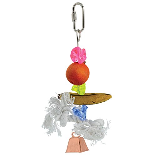 Penn-PLAX Bird-Life Fruit Kabob Bird Toy with Bell – Various Textures, Materials, and Colors – Great for Parakeets and Other Small Sized Birds – Small - size: Small
