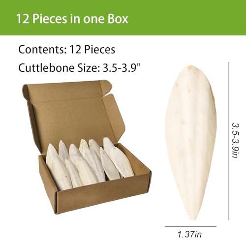 3.5"-4" Cuttlebone for Birds,Parakeets Cuddle Bone Beak Trimming,Premium Calcium Natural Cuttlefish Bone for Parrot,Cockatiel,Budgie,Tortoise, Snails,Reptiles,12 Pcs