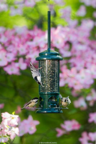 Squirrel Buster Standard Squirrel-proof Bird Feeder w/4 Metal Perches, 1.3-pound Seed Capacity, garden green | Four metal perches, weight-triggered closure, chew-proof design, easy cleaning