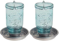 Perky-Pet 1 Mason Jar Wild Bird Waterer 783, Blue (Pack of 2) - size: 2Pack