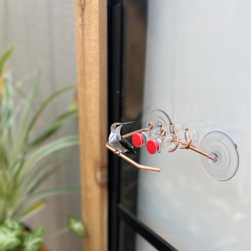 Duo Feeder | Window Hummingbird Feeder | Copper and Aluminum | Multiple Stations | Modern Hummingbird Feeder | Glass Bottles | Suction Cups (Copper, Two Station - Wide Perch) - size: Two Station - Wide Perch