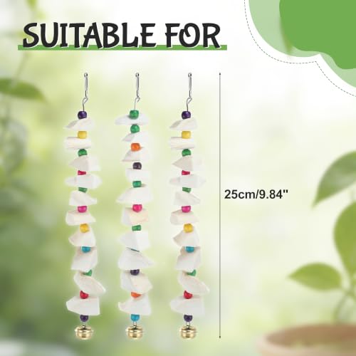 Bird Toys with Cuttlebone, Grinding Stone for Bird, 3 Pcs | Prevents Destructive Chewing, White, Colorful