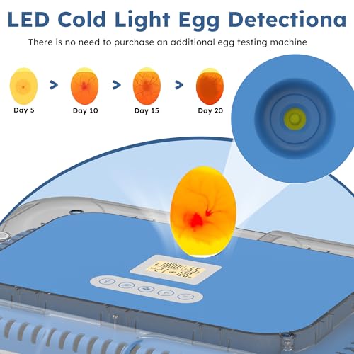 Egg Incubator for Hatching 70 Chicken, Duck, Quail & Goose Eggs – Automatic Egg Turner, Humidity & Temperature Control, Built-in LED Candler, Auto Water Refill, 360° Clear View Digital Poultry Hatcher