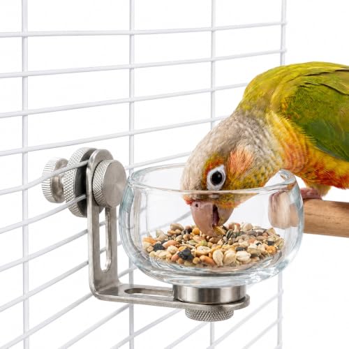 Magnetic Glass Bird Feeding Bowl for Cage, No Drill Removable Water and Food Cup for Parrots, Cockatiels, Conures, Budgies and Lovebirds, 100ml,4246-2 - color: Transparent