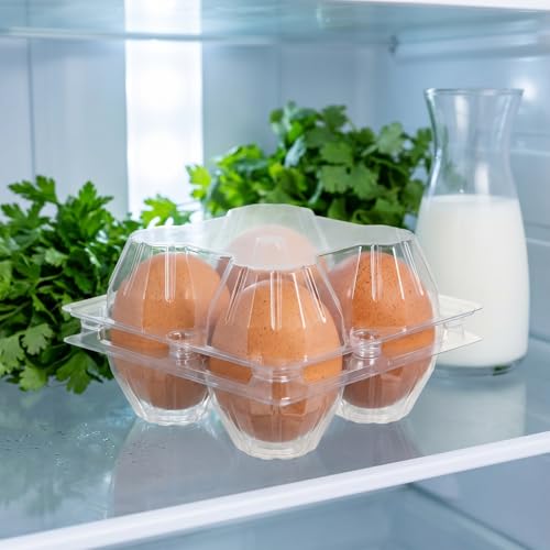 DOITOOL 30 Pcs Clear Egg Carrier Portable Egg Storage Box for 4 Eggs Transparent Tray Packaging Box for Refrigerator Cabinet Camping Picnic Travel