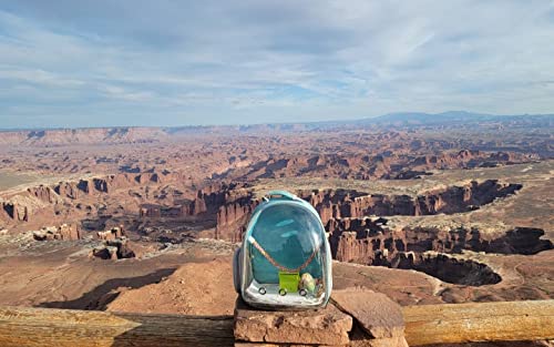 Bird Traval Carrier Cage, Clear Space Capsule Astronaut Backpack to Carry Parakeet Cockatiel Parrot with Metal Tray Bird Feeder Wood Perch, Vet Transport Bag - color: Black