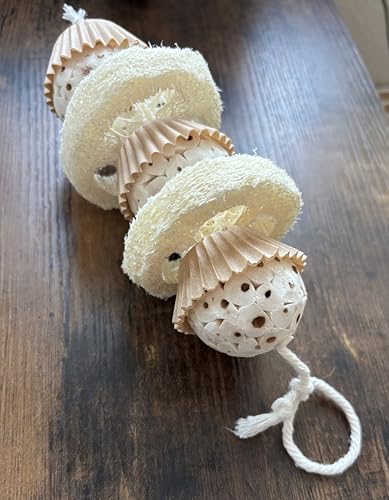 Shred and Destroy Natural Bird Toy - Double Texture Soft & Crunchy - Sola Ball and Loofah Plant - Small Birds - Budgies, Lovebirds - 2 Pack