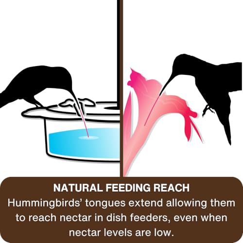 Nature's Way Plastic Hummingbird Feeder for Outdoor Decor, Hanging Feeder and Window Feeder, 13 Ounce Capacity Nectar Feeder, 5 Easy to Clean Flexible Ports, Red