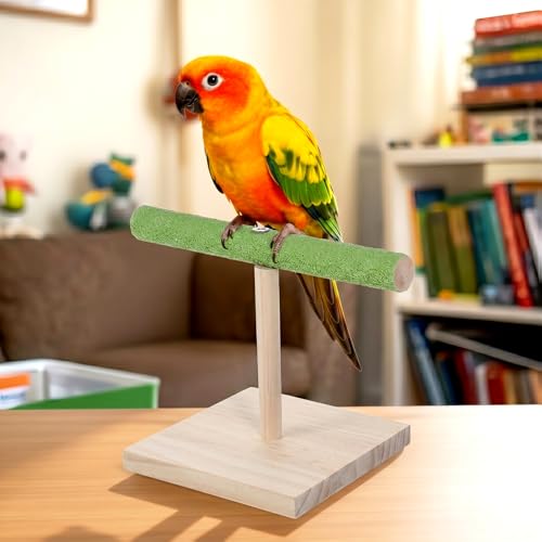 Bird Training Stand, Rough Surfaced Quartz Bird Perches | for Paw Grinding Clean Stick Exercise, Portable Tabletop Surfaced Parrot Parakeet Perches for Conure Macaws