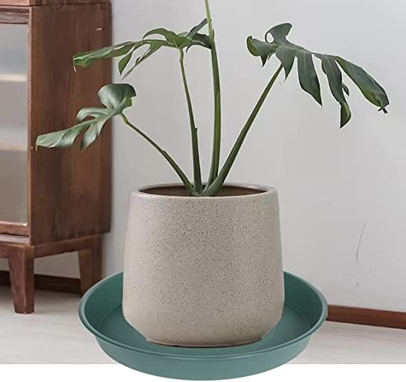 6 Pack of Bird Bath Bowl 8 inch, 8 10 12 14 16 18 20 inch Heavy Duty BirdBath Bowls only, Durable Plastic Round Large Plant Saucer Dish for Garden (8", Green) - color: Green, size: 8"