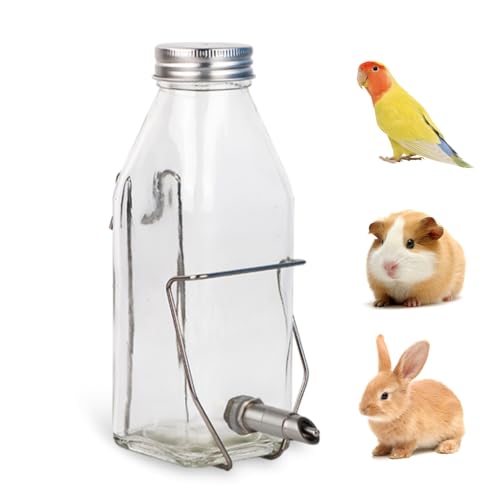Guinea Pig & Rabbit Water Bottle, 350ml No-Drip Chew-Proof Glass Dispenser with Stainless Steel Nozzle for Hamster, Squirrel, Bird, Guinea Pig Cage (350-H)