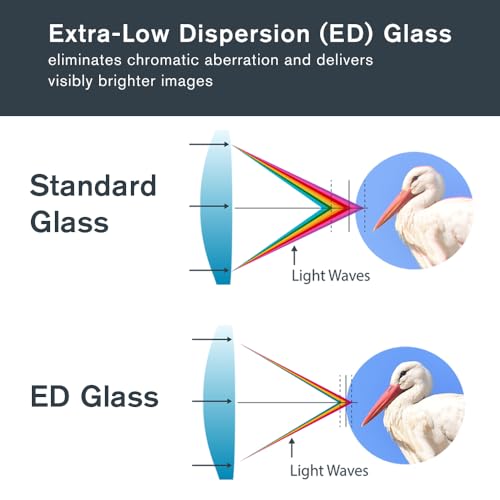 Celestron Regal ED 8x42 Binoculars with ED Glass for Birding & Nature | Premium ED Optics, Phase, Dielectric Coated BaK–4 Prism, Fully Multi–Coated Glass, 4.9 ft Close Focus, Tripod Adaptable - size: 8x42mm