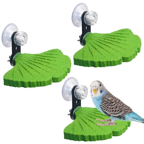 3PCS Bird Perch Bird Beak Grinding Stone with Suction Cups for Small Birds Foot Claws Trimmer Bird Stand Platform Parakeet Cage Perch Parrot Cage Accessories for Indoor Window Viewing (Green) - color: Green, size: Suction cup style