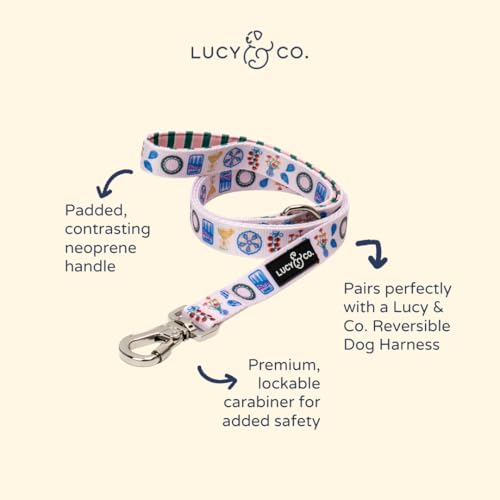 Lucy & Co. Dolce Vita Dog Leash, Durable Matching Dog Lead with Heavy Duty Hardware, Large - color: Dolce Vita, size: Large