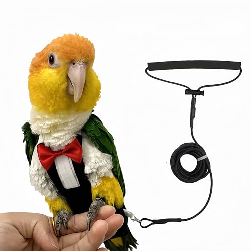Bird Diapers Bird Harness Tuxedo Flight Suits with 80in Flying Leash Parrot Nappy with Waterproof Inner Layer Urine Wet Suite for Cockatiel Conure Parakeet Macaw Budgie-Black,L - size: L