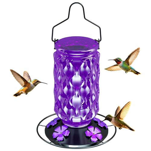 Glass Hummingbird Feeder for Outdoors, 25OZ Hummingbird Feeder with 5 Flower Ports & Perch, Leak-Proof, Crystal Clear – Hummingbird Feeders for Outdoors Hanging, Garden Decor,Gifts for Women Men - color: Purple
