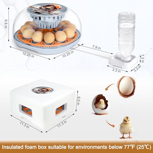 Smart Chicken Incubators for Hatching Eggs with Automatic Turner Small Poultry Duck Quail 12 Egg Incubator Temperature Control Display Hatcher Machine (Mechachick, ℉) - color: Mechachick