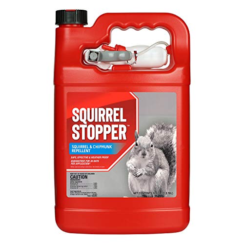 Squirrel Stopper Repellent Spray - Chipmunk & Squirrel Deterrent for Bird Feeders, Garden & Homes - Weather-Resistant Formula - Scent, Taste & Touch Barrier - Safe Around Kids & Pets - 1 Gallon - size: 128 Fl Oz (Pack of 1)