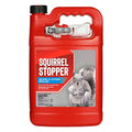 Squirrel Stopper Repellent Spray - Chipmunk & Squirrel Deterrent for Bird Feeders, Garden & Homes - Weather-Resistant Formula - Scent, Taste & Touch Barrier - Safe Around Kids & Pets - 1 Gallon - size: 128 Fl Oz (Pack of 1)