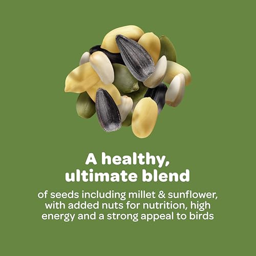 Kaytee Ultimate Nut & Fruit Food, Wild Bird Seed for Outside Feeders, Grosbeaks, Cardinals, Nuthatches, Woodpeckers & More, 9.75 Pounds - size: 9.75 Pound (Pack of 1), style: Nut & Fruit