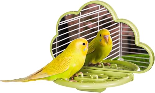 septillar Bird Mirror with Perch Stand, Bird Toys for Parakeet Cockatiel Conure Lovebirds Finch Canaries (Green) - color: Green