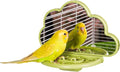 septillar Bird Mirror with Perch Stand, Bird Toys for Parakeet Cockatiel Conure Lovebirds Finch Canaries (Green) - color: Green