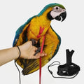 Adjustable Bird Harness with 78.7 Inch Leash, Outdoor Flying Training Rope Kit for Bird Parrots, Parrot Flying Rope Straps Outdoor Training Traction Rope for Small Medium Large Size Birds (S) - size: S