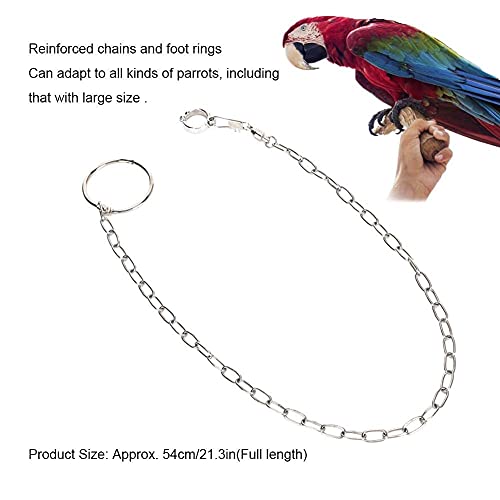 Bird Foot Chain, Pet Bird Leash Parrot Foot Chain Stainless Steel Anti bite Flying Training Anklet Ring Parrot Ankle Foot Ring Accessories