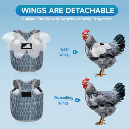 MYWSN Chicken Saddle with Wing Protector - Chicken Aprons for Hen | Polyester lightweight chicken apron prevents feather pecking & scratches; adjustable hidden straps stay secure
