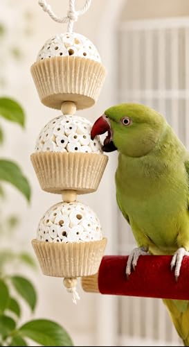 Shred and Destroy Bird Toy for Medium Birds - Conures, Cockatiels - Natural Sola Ball Hanging Chew Toy - 2 Pack - Boredom Buster Cage Toy