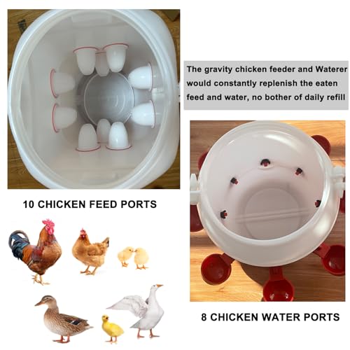 Rainproof Chicken Feeder and Chicken Waterer Set (13 Gallon/60 Pounds) Automatic Chicken Feeder Poultry Feeder Bucket with 10 Ports Chicken Waterer (2.6 Gallon/10L) with 8 Water Cups