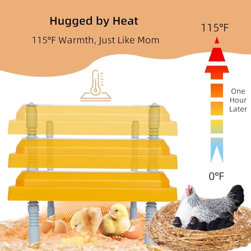 Chick Brooder Heating Plate Brooder Heat Plate for Chicks Ducklings with Feathers 10×10 Inch 15W Adjustable Height & Angle Easy Cleaning Chicks Heater