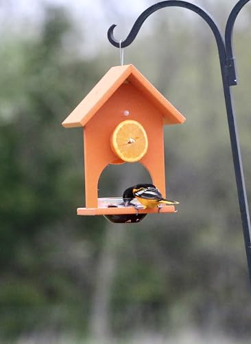 SERUBFJF Fruit and Jelly Oriole Feeder (Set of 1)